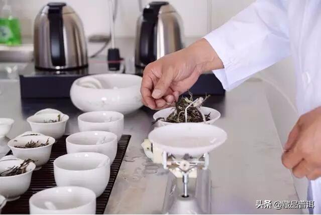 纯料普洱茶PK拼配普洱茶，究竟谁更胜一筹？行家专业解读